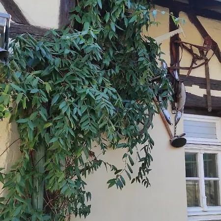 Zum Tischler Apartment
