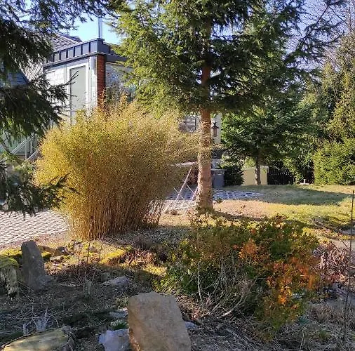 Zum Tischler Ilmenau